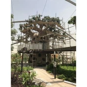 Falsk Baobab Tree